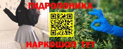 крисы Бузулук