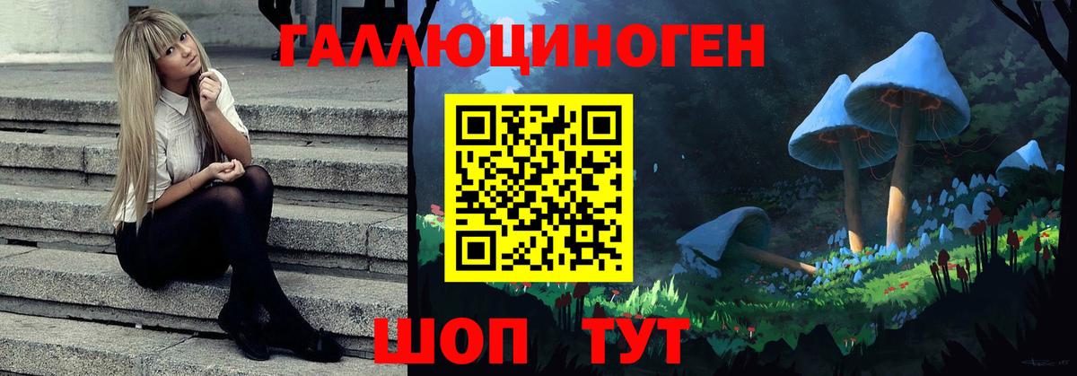 Галлюциногенные грибы ЛСД  Вход с VPN  Новотроицк 