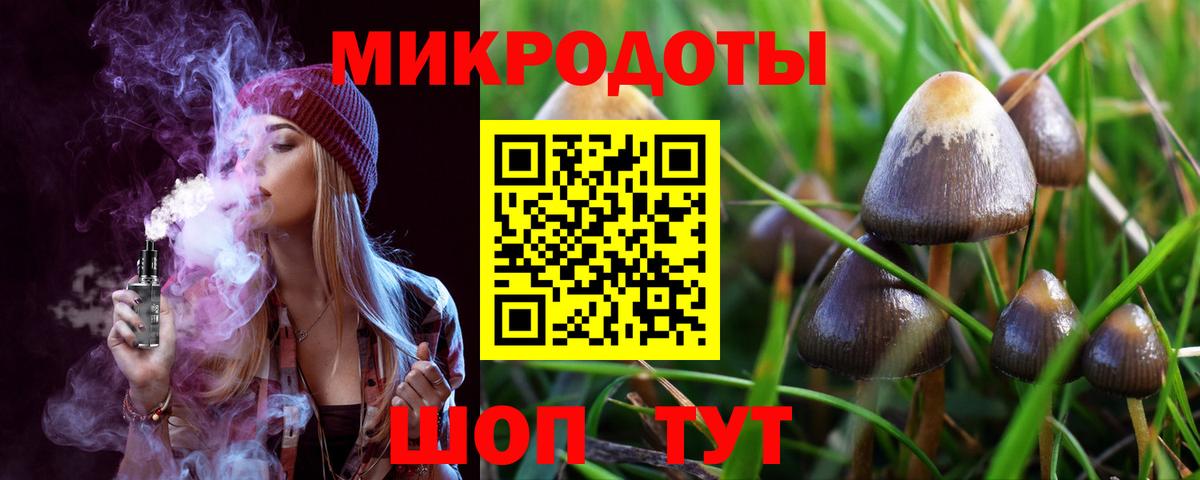 Псилоцибиновые грибы Cubensis Новотроицк